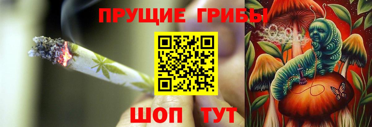 Узловая  Псилоцибиновые грибы мицелий  Вход с VPN 